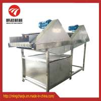 Brush Type Root Vegetable / Fruit Washing Equipment